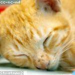 Jarvis Krajcik Profile Picture