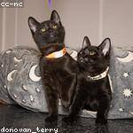 Alexanne Lubowitz Profile Picture