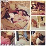 Mabelle Boyle Profile Picture