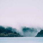 Alvah Huel Profile Picture