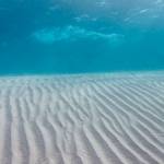 jayden effah Profile Picture