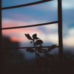 ahhhhh Profile Picture